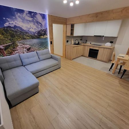 Apartament Chycow Potok Zakopane Exterior foto